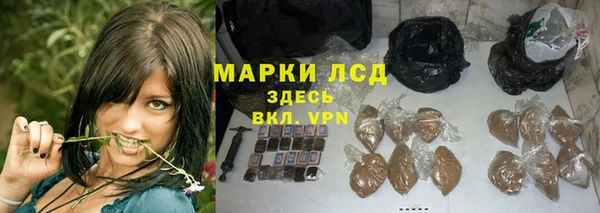 гидра Аркадак