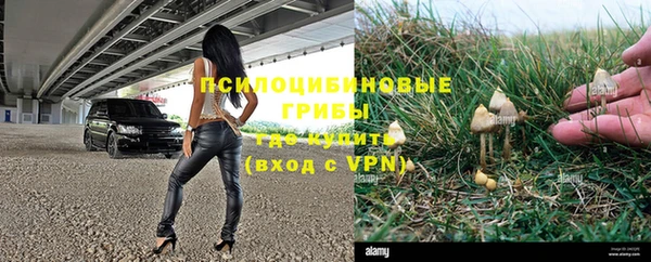 PSILOCYBIN Нязепетровск